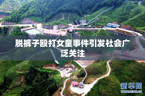 脱裤子殴打女童事件引发社会广泛关注