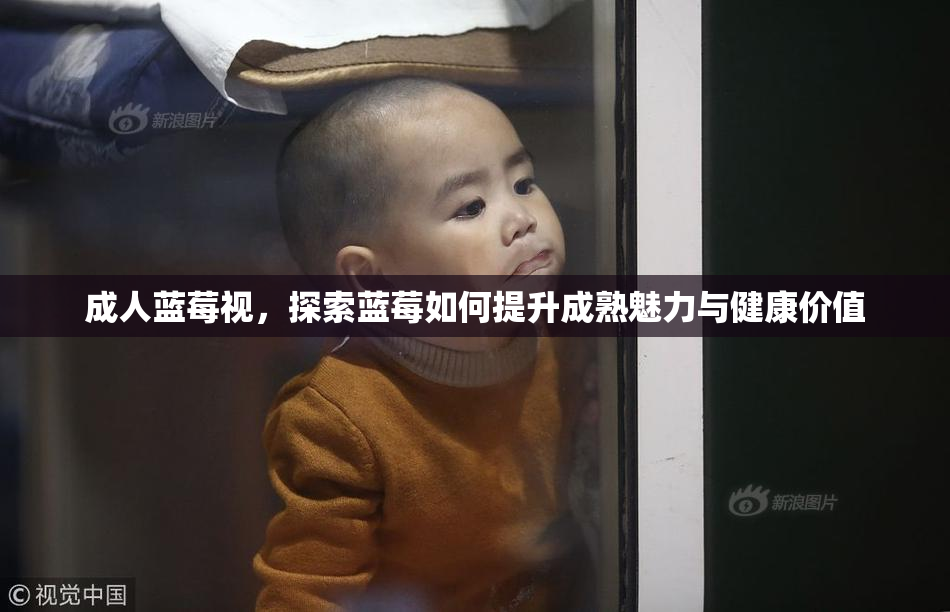 成人蓝莓视，探索蓝莓如何提升成熟魅力与健康价值