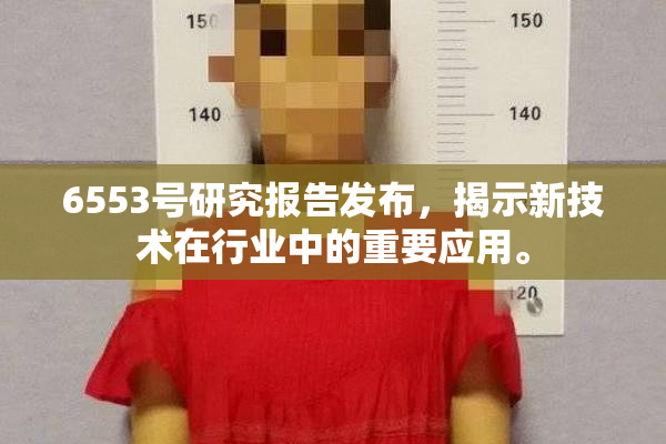 6553号研究报告发布，揭示新技术在行业中的重要应用。