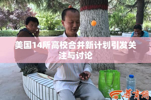 美国14所高校合并新计划引发关注与讨论