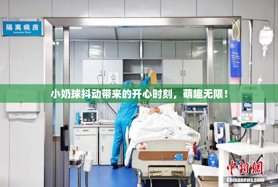 小奶球抖动带来的开心时刻，萌趣无限！
