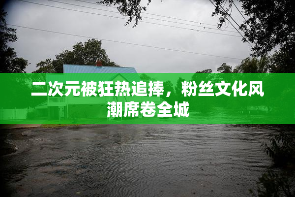 二次元被狂热追捧，粉丝文化风潮席卷全城