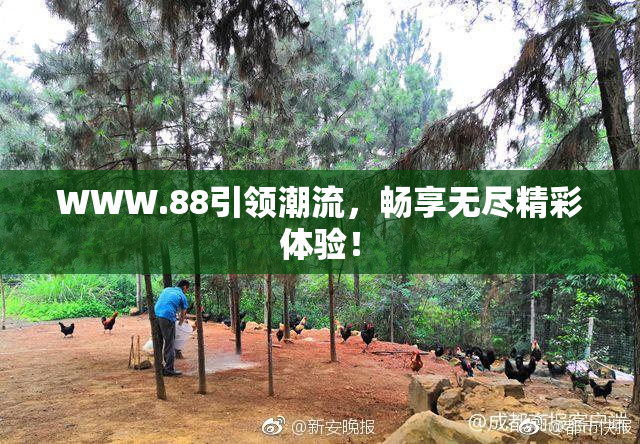 WWW.88引领潮流，畅享无尽精彩体验！