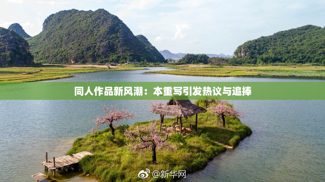 同人作品新风潮：本重写引发热议与追捧