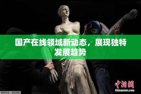 国产在线领域新动态，展现独特发展趋势