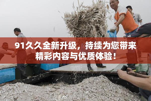 91久久全新升级，持续为您带来精彩内容与优质体验！