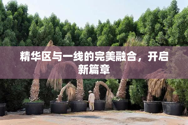 精华区与一线的完美融合，开启新篇章
