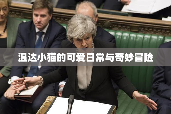 温达小猫的可爱日常与奇妙冒险