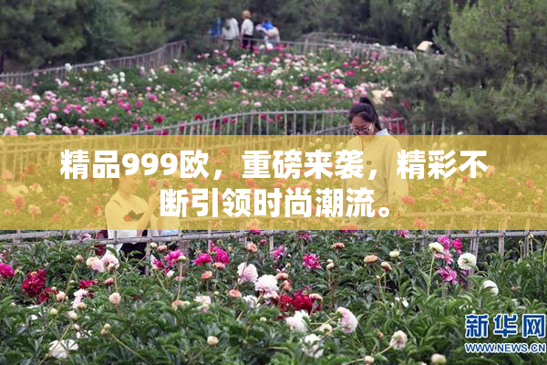 精品999欧，重磅来袭，精彩不断引领时尚潮流。