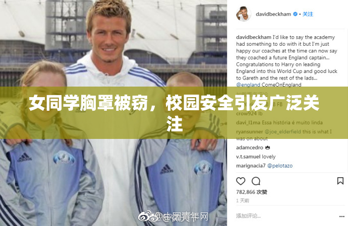 女同学胸罩被窃，校园安全引发广泛关注