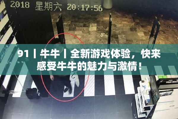 91丨牛牛丨全新游戏体验，快来感受牛牛的魅力与激情！