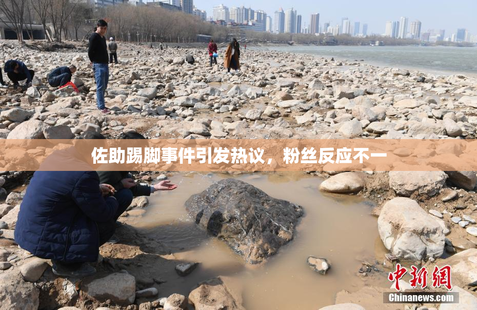 佐助踢脚事件引发热议，粉丝反应不一