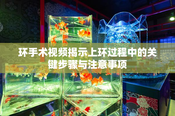 环手术视频揭示上环过程中的关键步骤与注意事项