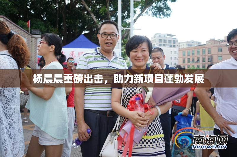 杨晨晨重磅出击，助力新项目蓬勃发展