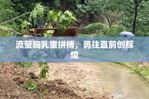 流萤胸乳重拼搏，勇往直前创辉煌