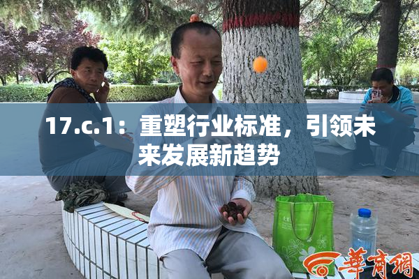 17.c.1：重塑行业标准，引领未来发展新趋势
