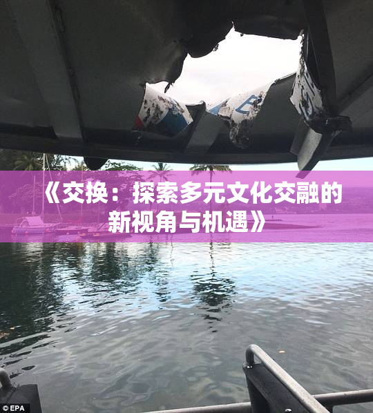 《交换：探索多元文化交融的新视角与机遇》