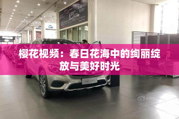 樱花视频：春日花海中的绚丽绽放与美好时光