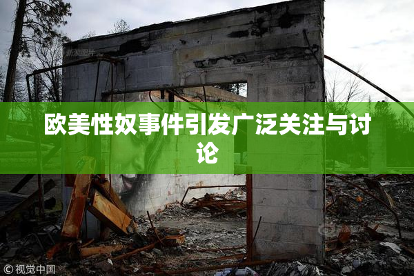 欧美性奴事件引发广泛关注与讨论