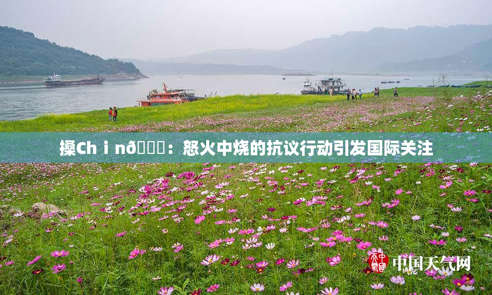 搡Chⅰn🈚：怒火中烧的抗议行动引发国际关注