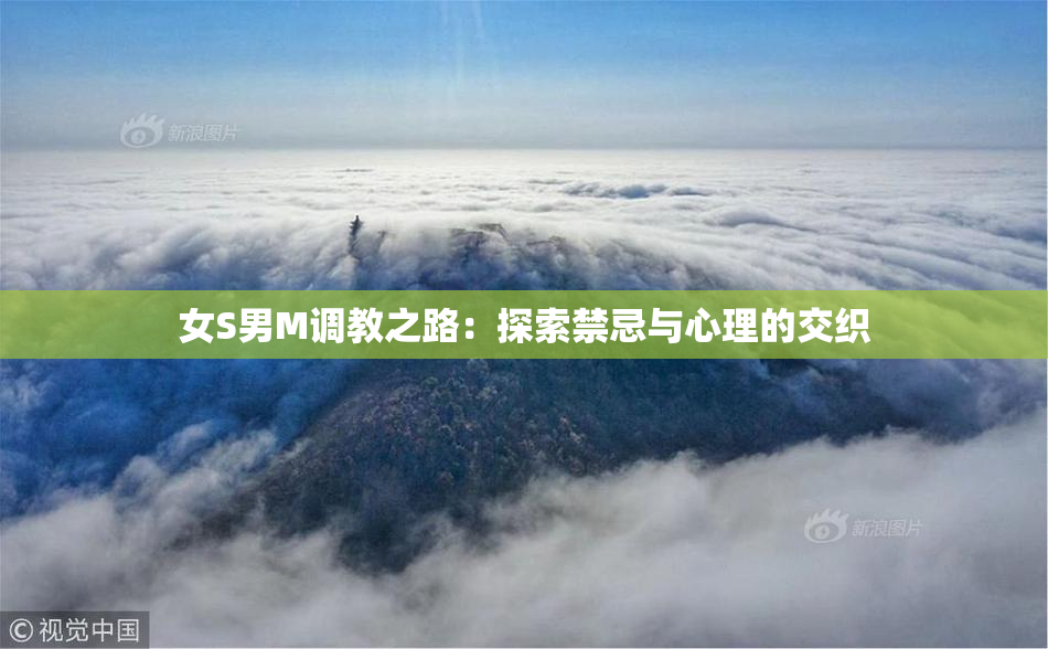 女S男M调教之路：探索禁忌与心理的交织