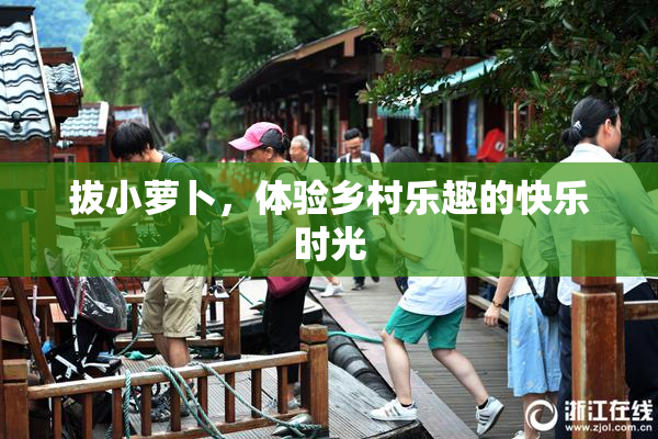 拔小萝卜，体验乡村乐趣的快乐时光