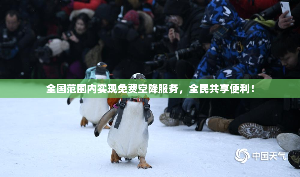 全国范围内实现免费空降服务，全民共享便利！