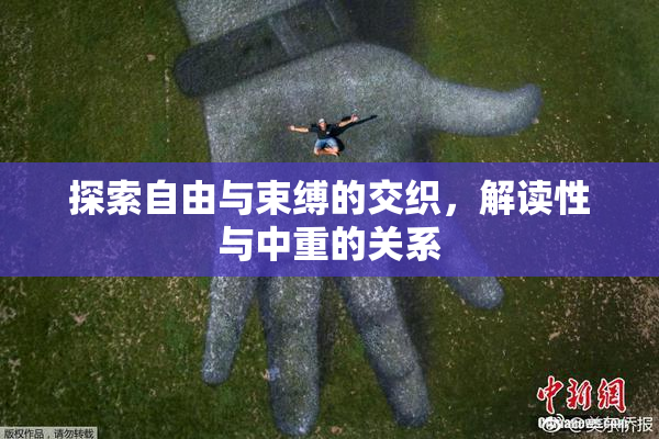 探索自由与束缚的交织，解读性与中重的关系