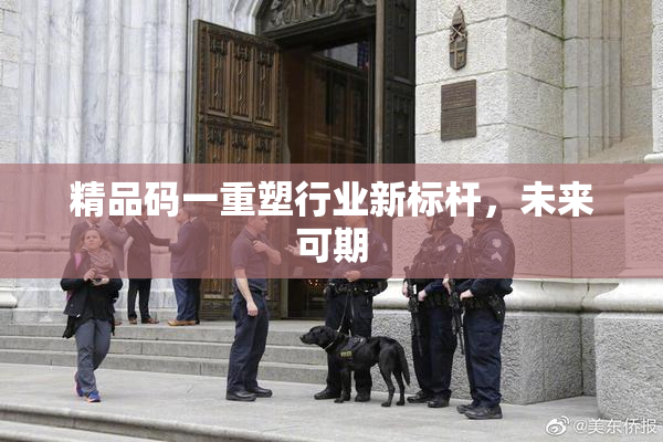 精品码一重塑行业新标杆，未来可期