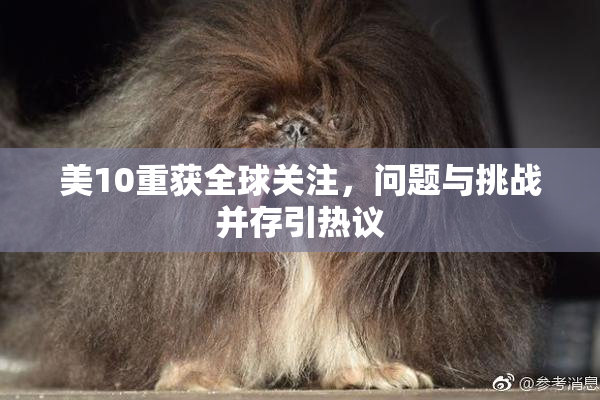 美10重获全球关注，问题与挑战并存引热议