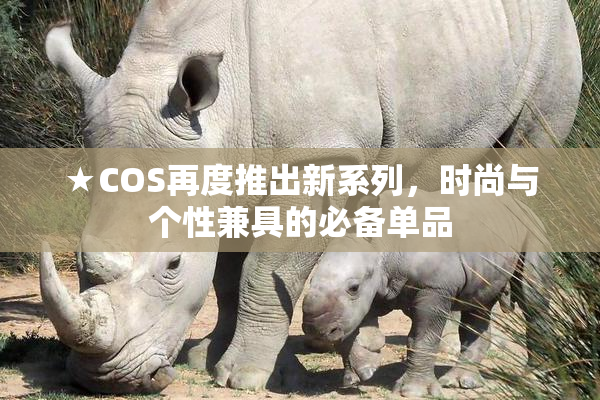 ★COS再度推出新系列，时尚与个性兼具的必备单品