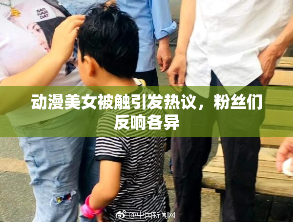 动漫美女被触引发热议，粉丝们反响各异