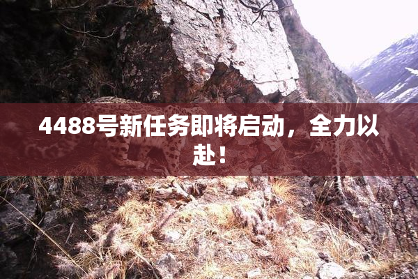 4488号新任务即将启动，全力以赴！