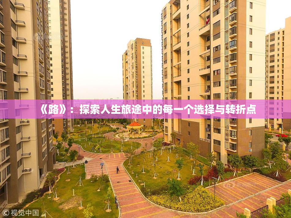 《路》：探索人生旅途中的每一个选择与转折点