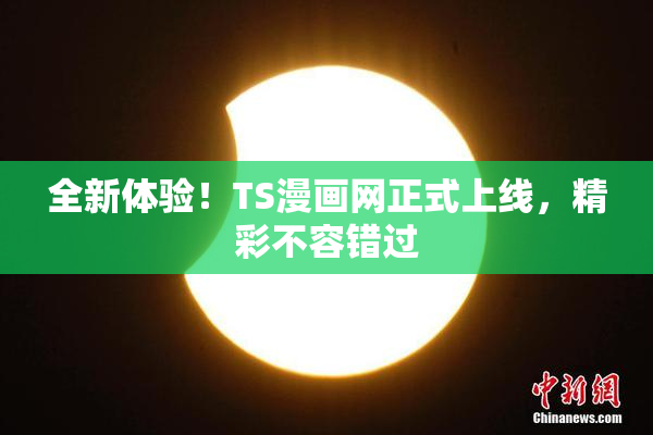 全新体验！TS漫画网正式上线，精彩不容错过
