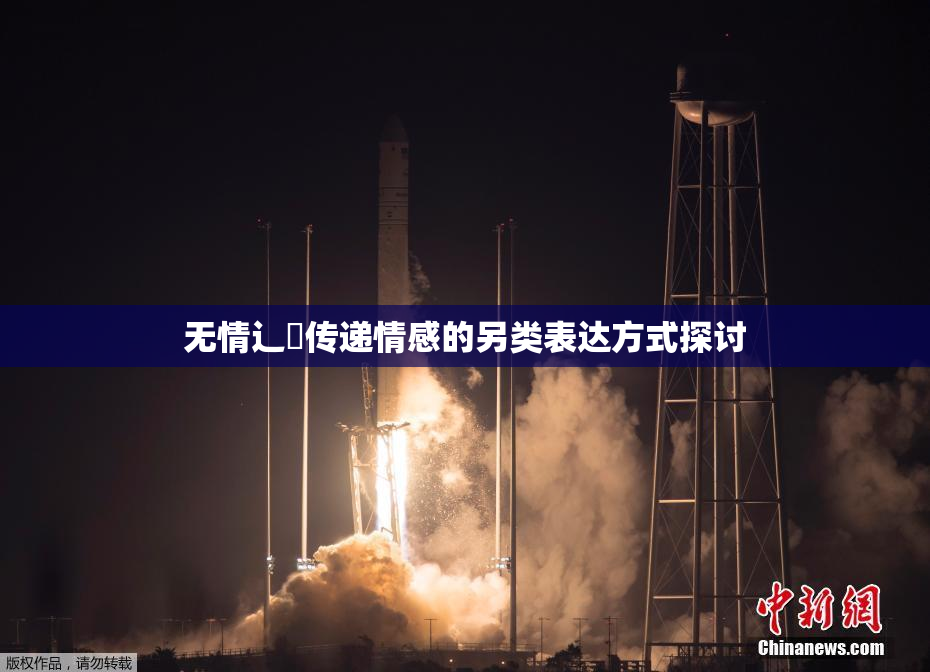 无情辶喿传递情感的另类表达方式探讨