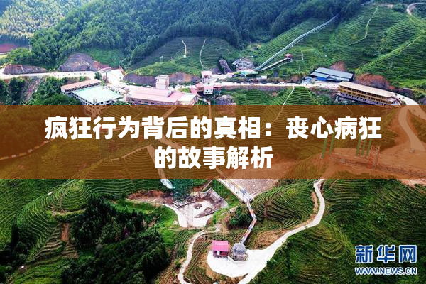 疯狂行为背后的真相：丧心病狂的故事解析
