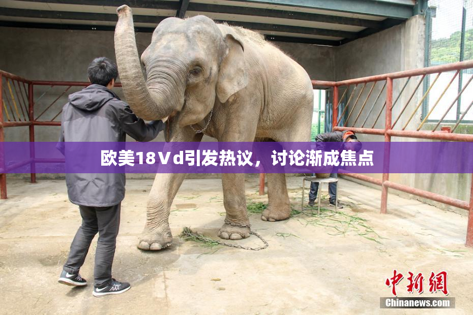 欧美18Ⅴd引发热议，讨论渐成焦点