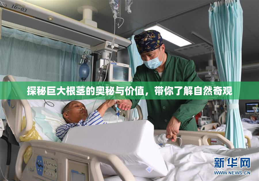 探秘巨大根茎的奥秘与价值，带你了解自然奇观