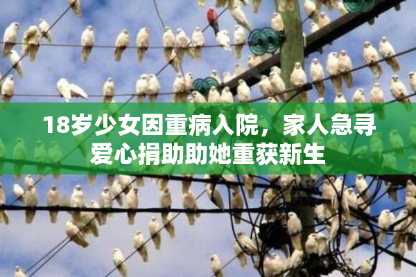 18岁少女因重病入院，家人急寻爱心捐助助她重获新生