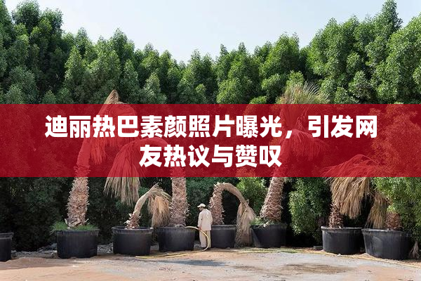 迪丽热巴素颜照片曝光，引发网友热议与赞叹