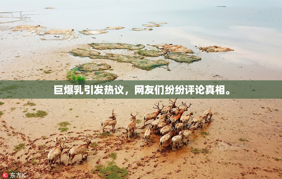 巨爆乳引发热议，网友们纷纷评论真相。