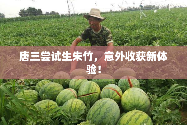 唐三尝试生朱竹，意外收获新体验！