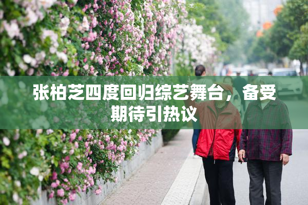 张柏芝四度回归综艺舞台，备受期待引热议
