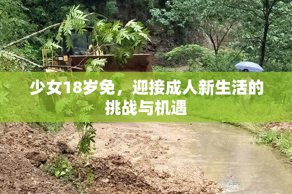 少女18岁免，迎接成人新生活的挑战与机遇
