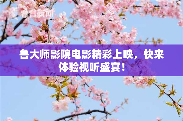 鲁大师影院电影精彩上映，快来体验视听盛宴！