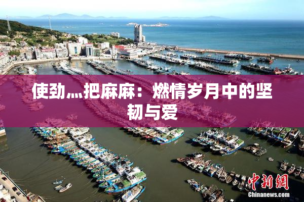 使劲灬把麻麻：燃情岁月中的坚韧与爱