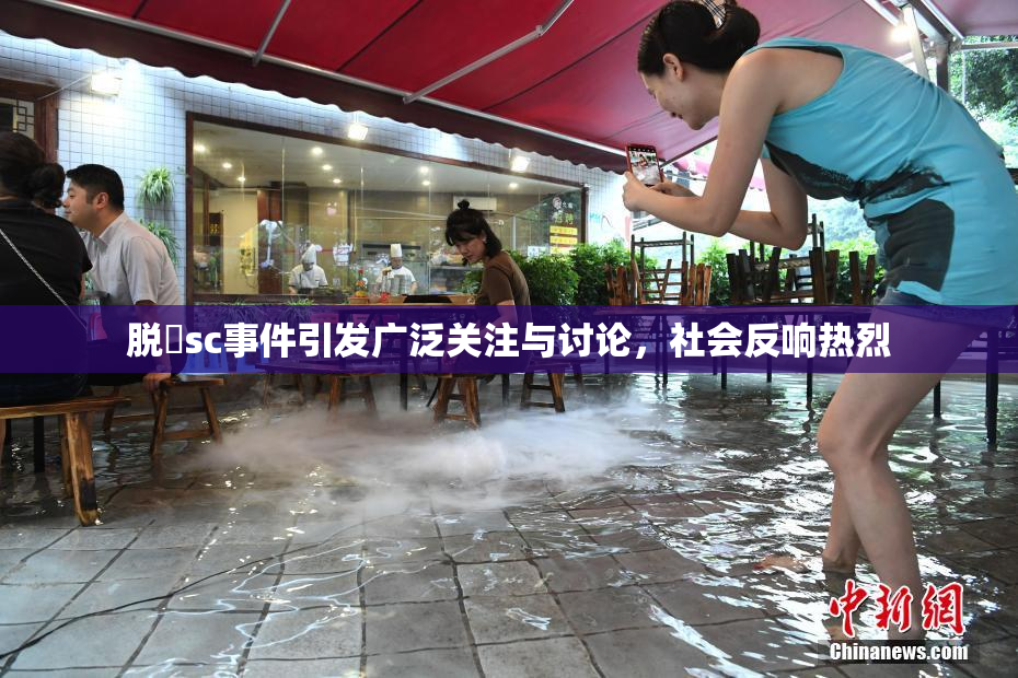 脱糞sc事件引发广泛关注与讨论，社会反响热烈