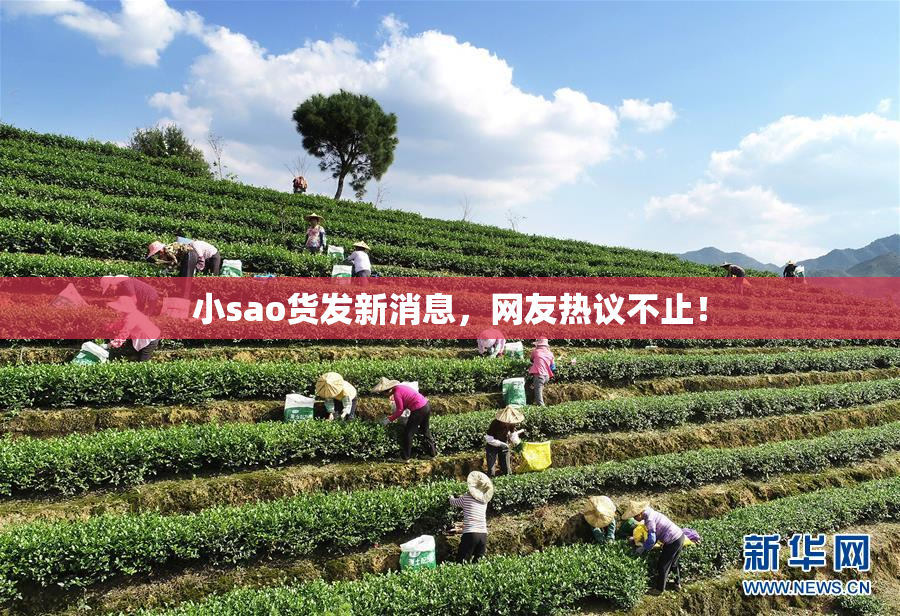 小sao货发新消息，网友热议不止！