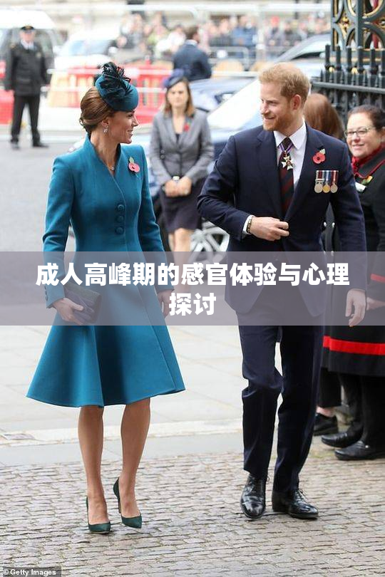 成人高峰期的感官体验与心理探讨